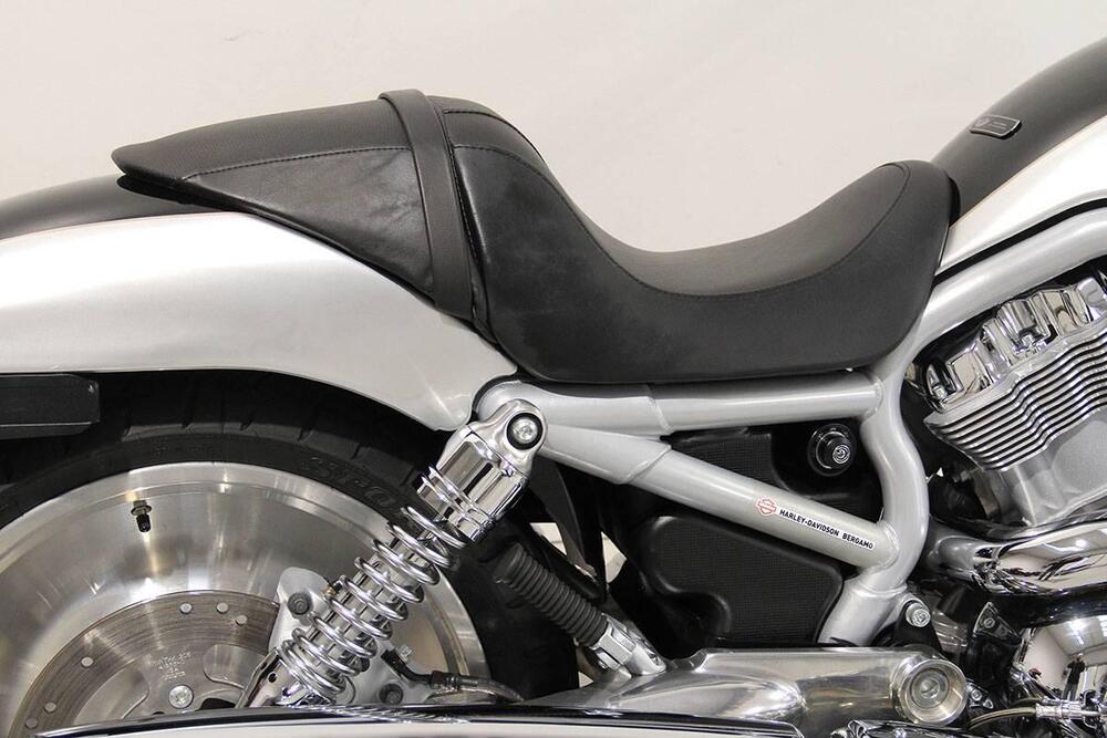 Harley-Davidson 1130 V-Rod (2002 - 05) - VRSCA (5)