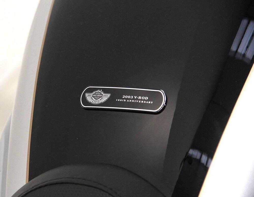 Harley-Davidson 1130 V-Rod (2002 - 05) - VRSCA (7)