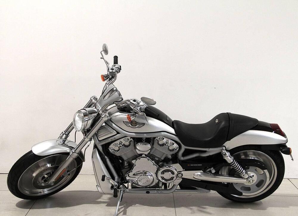 Harley-Davidson 1130 V-Rod (2002 - 05) - VRSCA (9)
