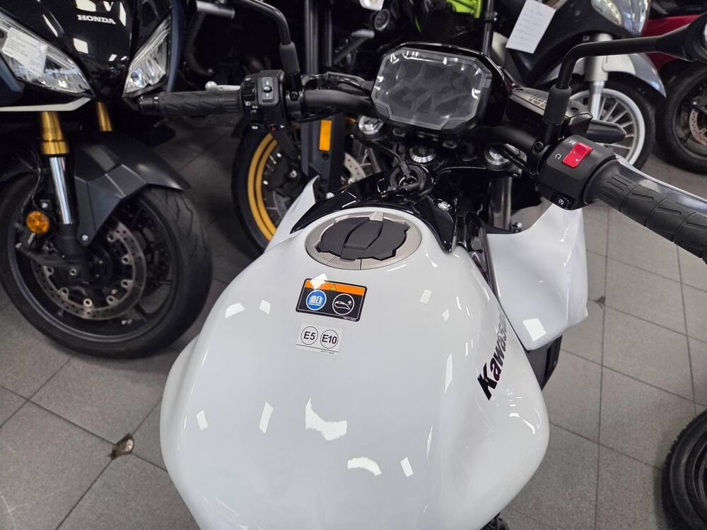 Kawasaki Z 650 (2025 - 26) (3)