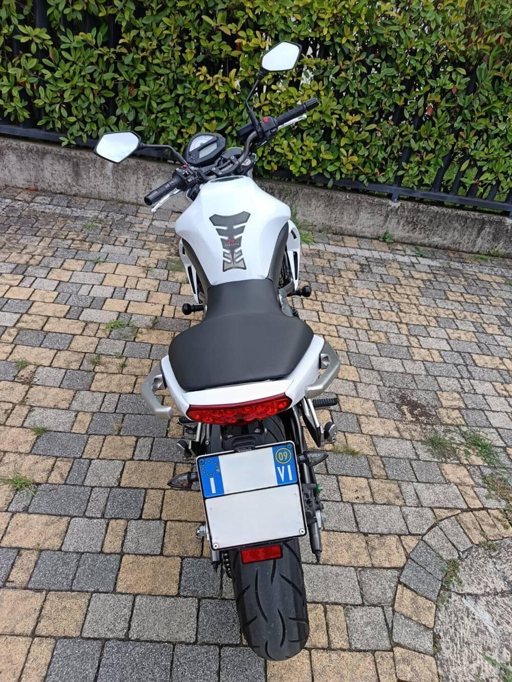 Kawasaki ER-6N (2009 - 11) (2)