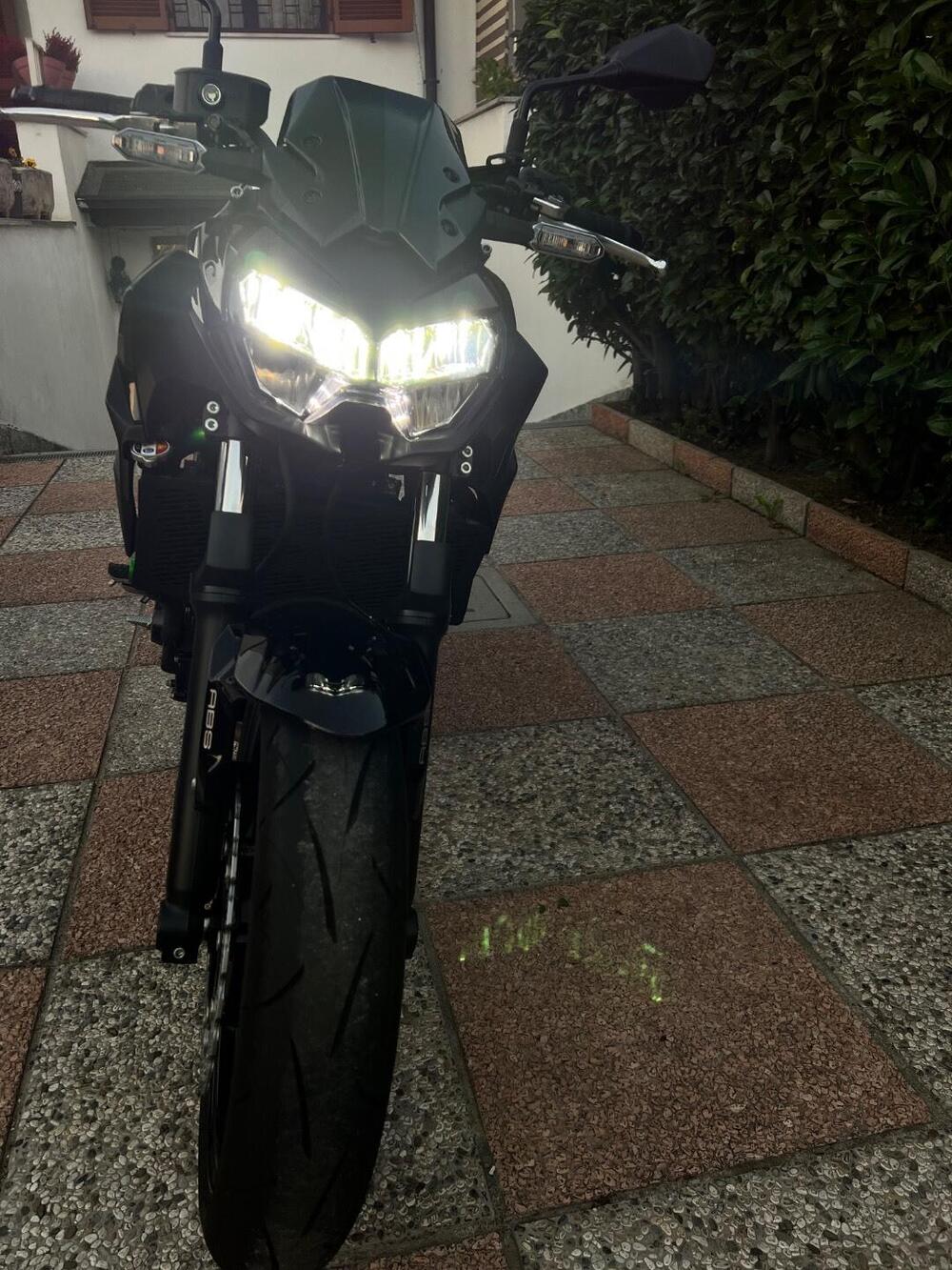 Kawasaki Z 650 (2025 - 26) (5)