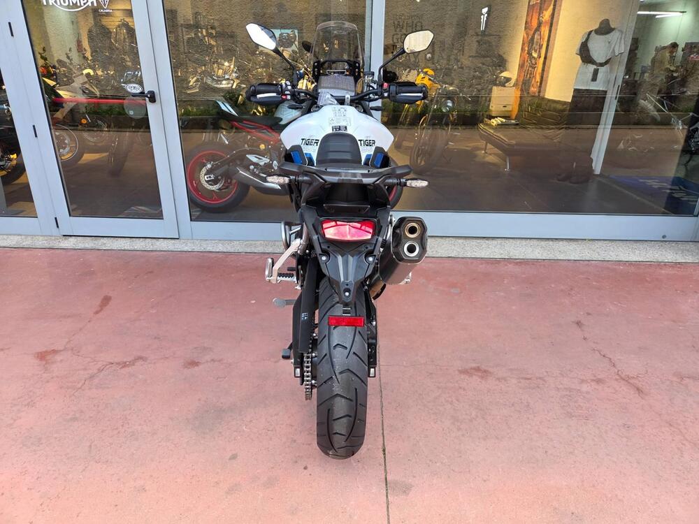 Triumph Tiger 900 Alpine Special Edition (2026) (9)
