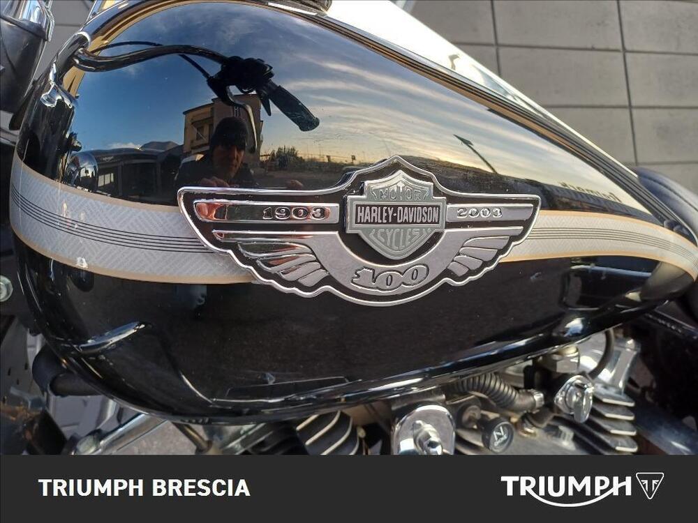 Harley-Davidson 1450 Road King (1999 - 03) - FLHR (16)