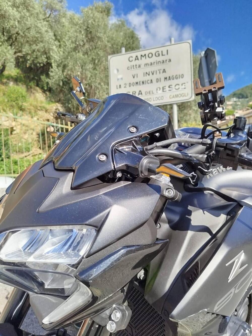 Kawasaki Z 900 (2021 - 24) (3)