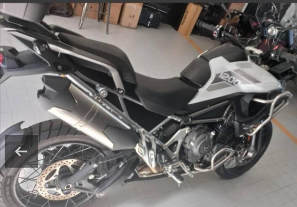 Triumph Tiger 1200 Rally Pro (2022 - 23) (3)