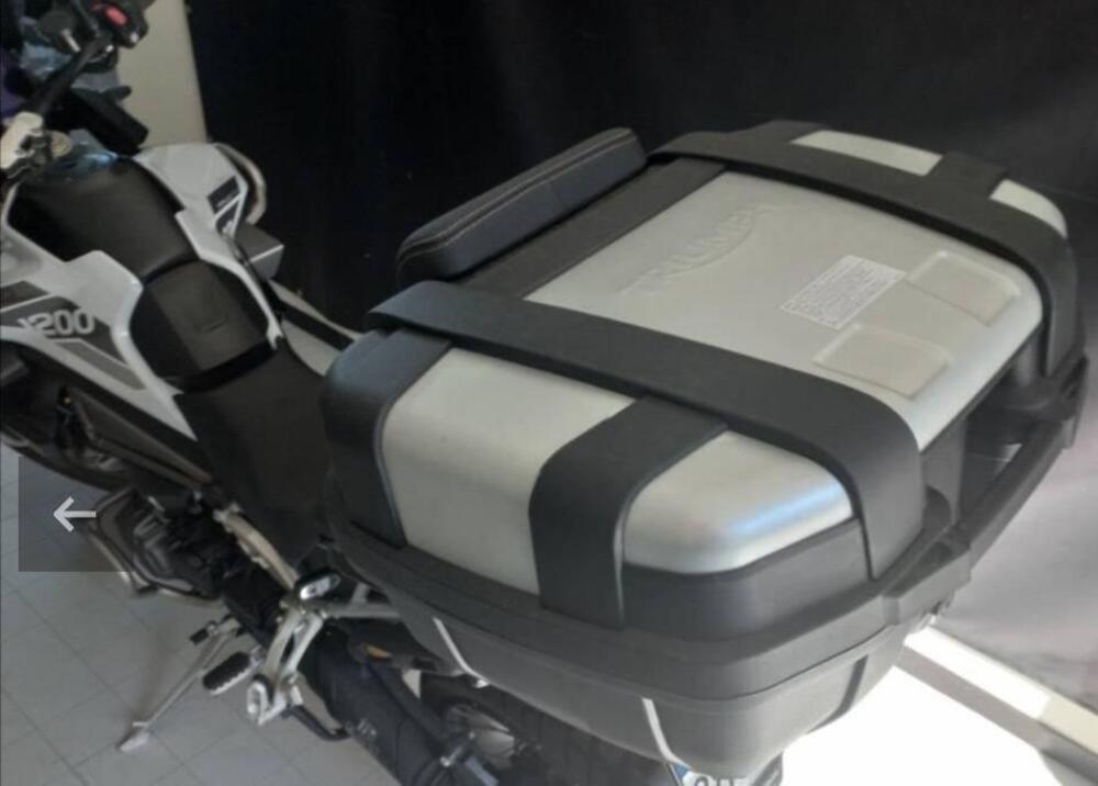 Triumph Tiger 1200 Rally Pro (2022 - 23) (5)