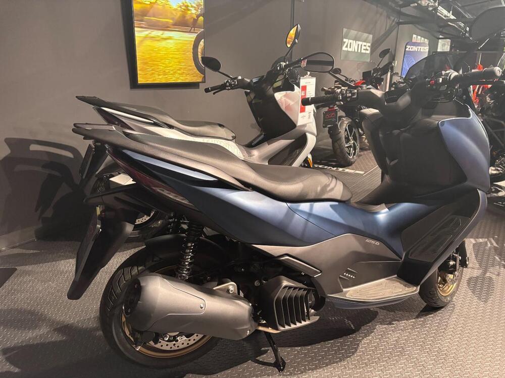 Zontes ZT125-D (2023 - 26) (6)