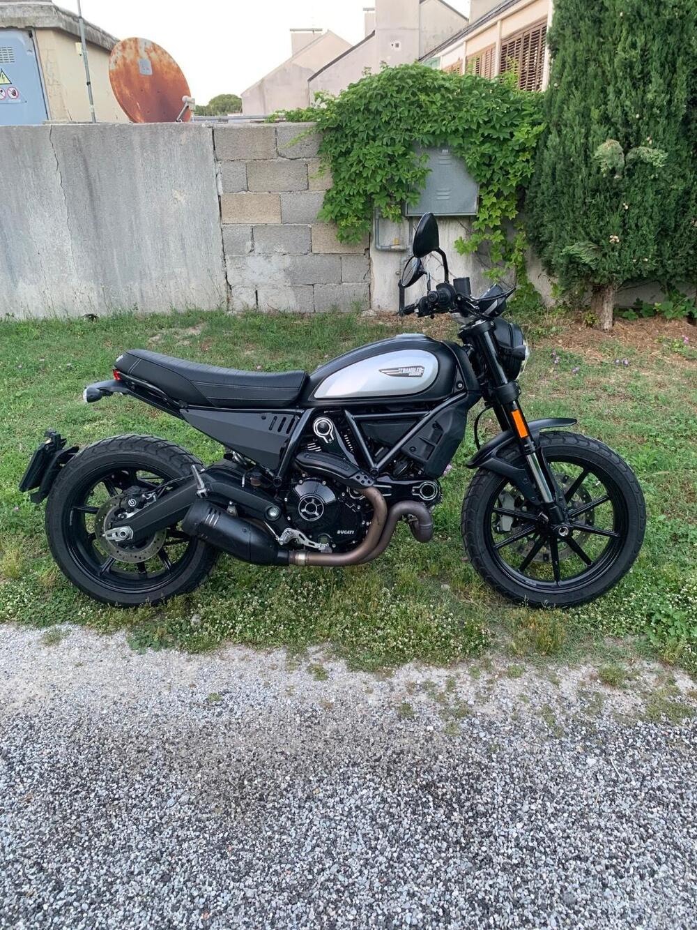 Ducati Scrambler 800 Icon Dark (2021 - 22) (6)
