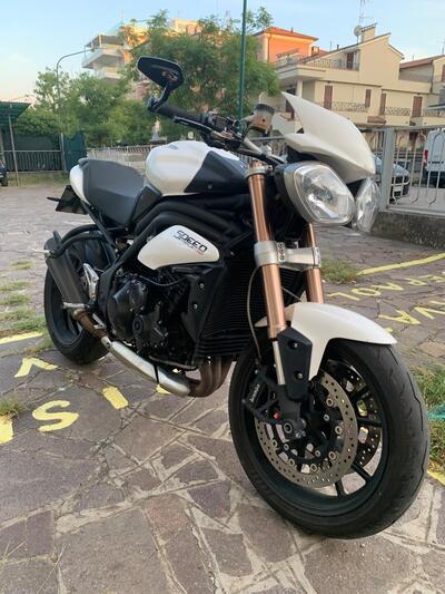 Triumph Speed Triple 1050 (2011 - 13) usata