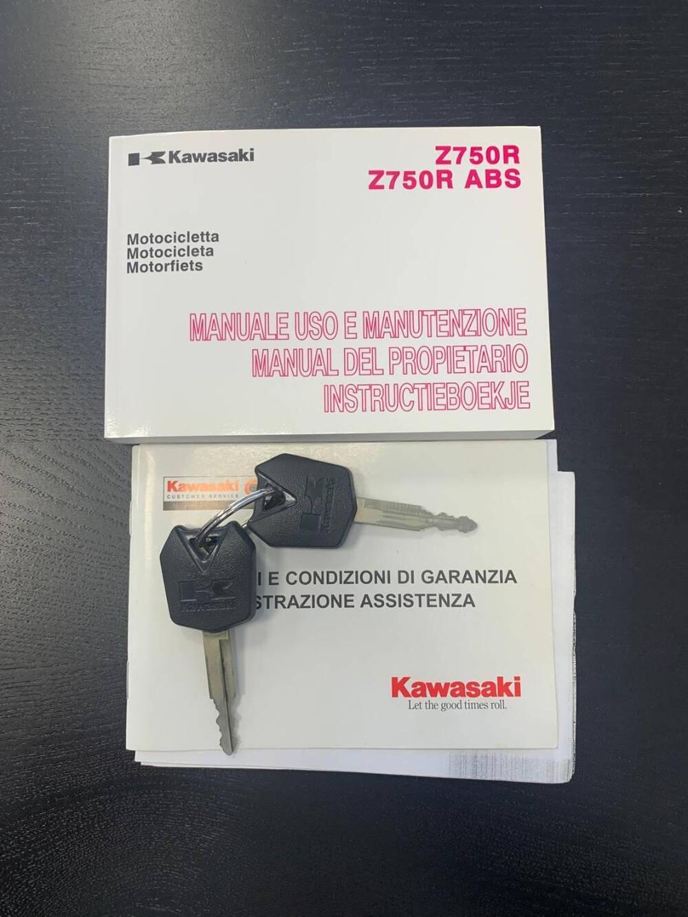 Kawasaki Z 750 R (2011 - 14) (13)