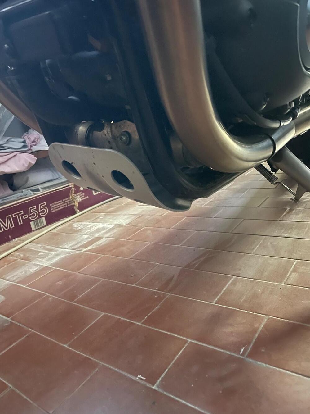 Triumph Speed Twin 1200 (2019 - 20) (11)