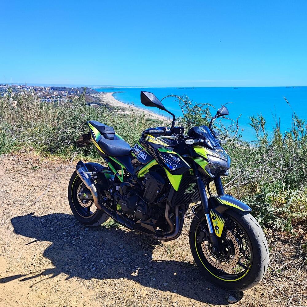 Kawasaki Z 900 (2020)