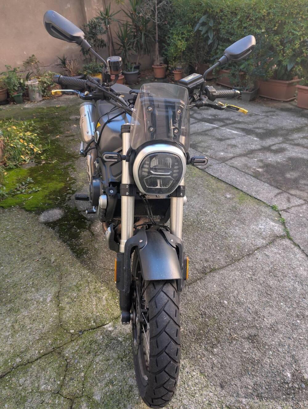 Voge Trofeo 525ACX Scrambler (2023 - 26) (10)