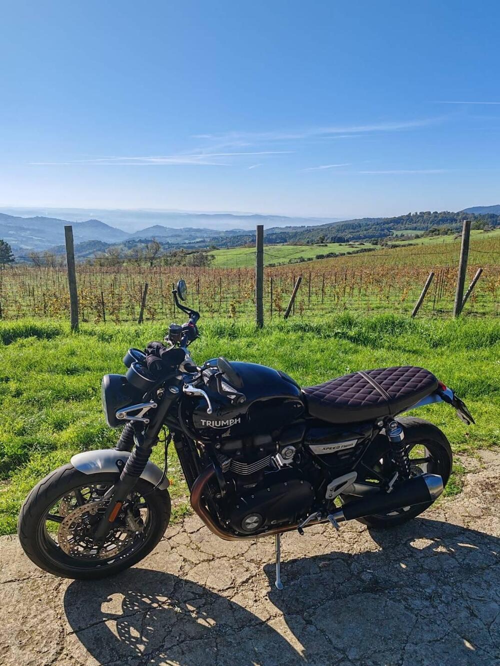 Triumph Speed Twin 1200 (2019 - 20) (8)
