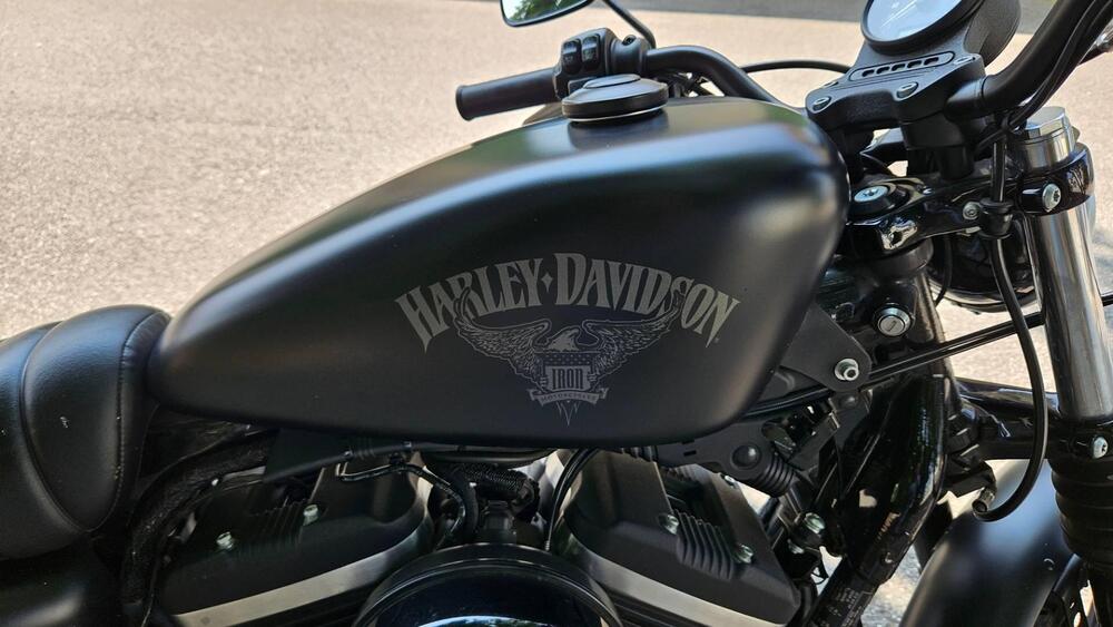 Harley-Davidson 883 Iron (2017 - 20) - XL 883N (3)