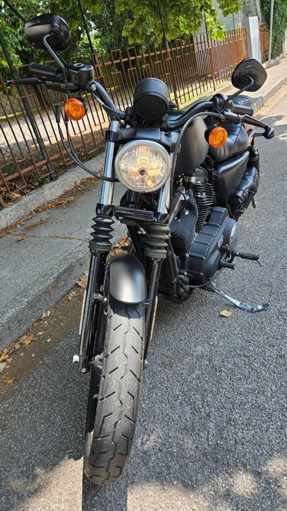 Harley-Davidson 883 Iron (2017 - 20) - XL 883N (4)