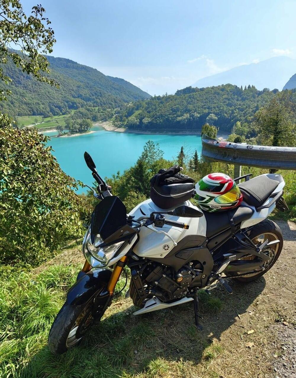 Yamaha FZ8 (2010 - 12) (6)