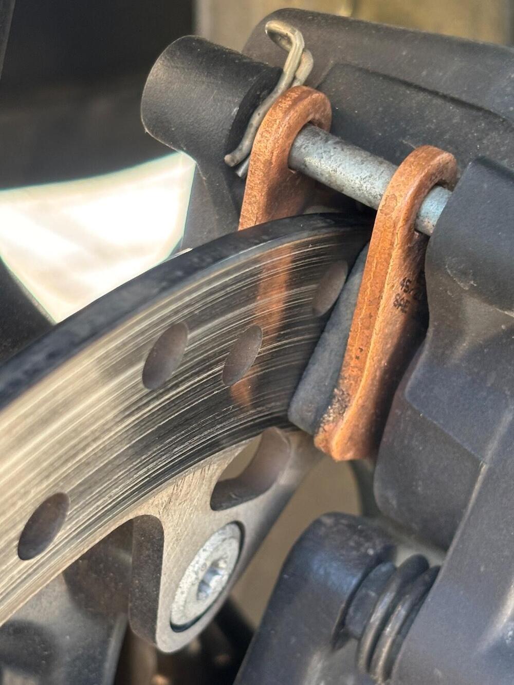 Bmw F 750 GS (2021 - 24) (10)