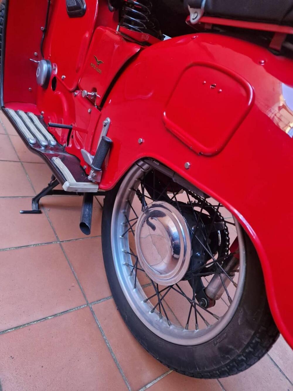 Moto Guzzi Galletto 192 (5)