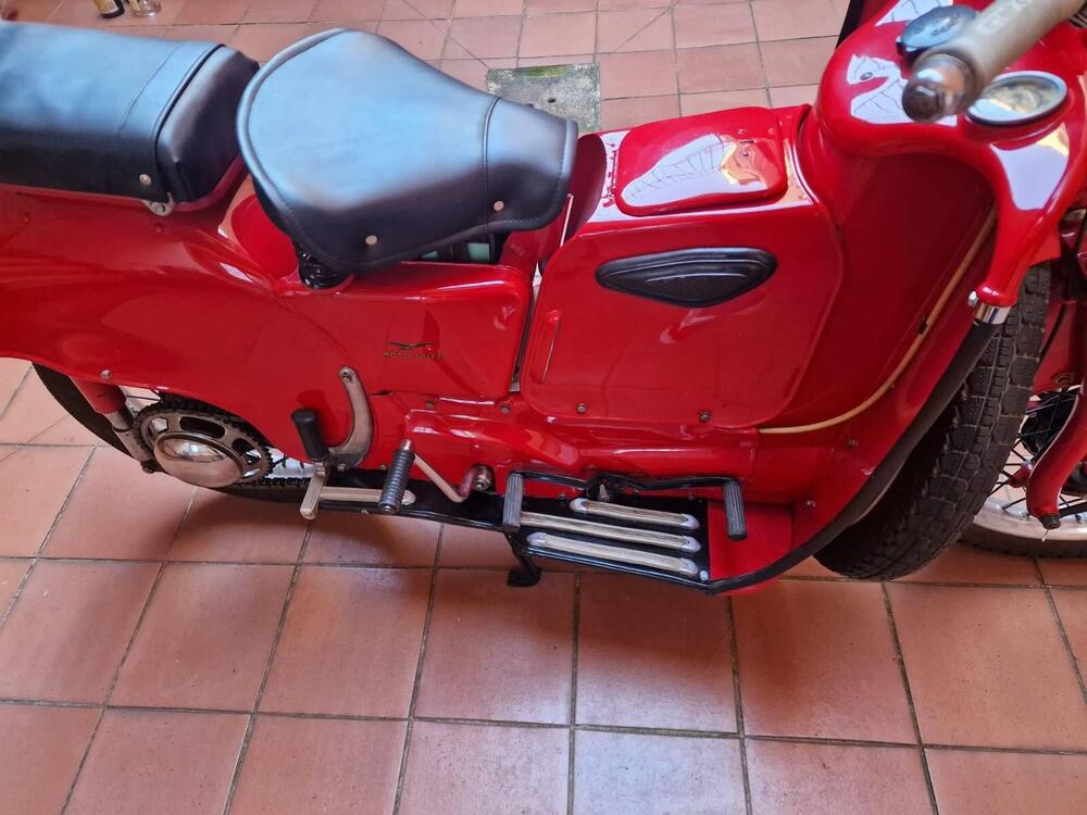 Moto Guzzi Galletto 192 (7)