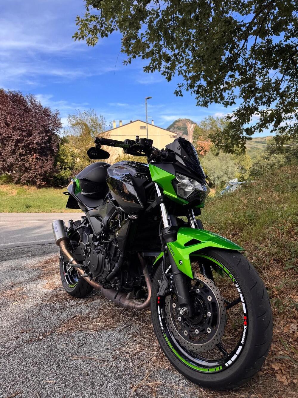Kawasaki Z 400 (2019 - 20) (2)