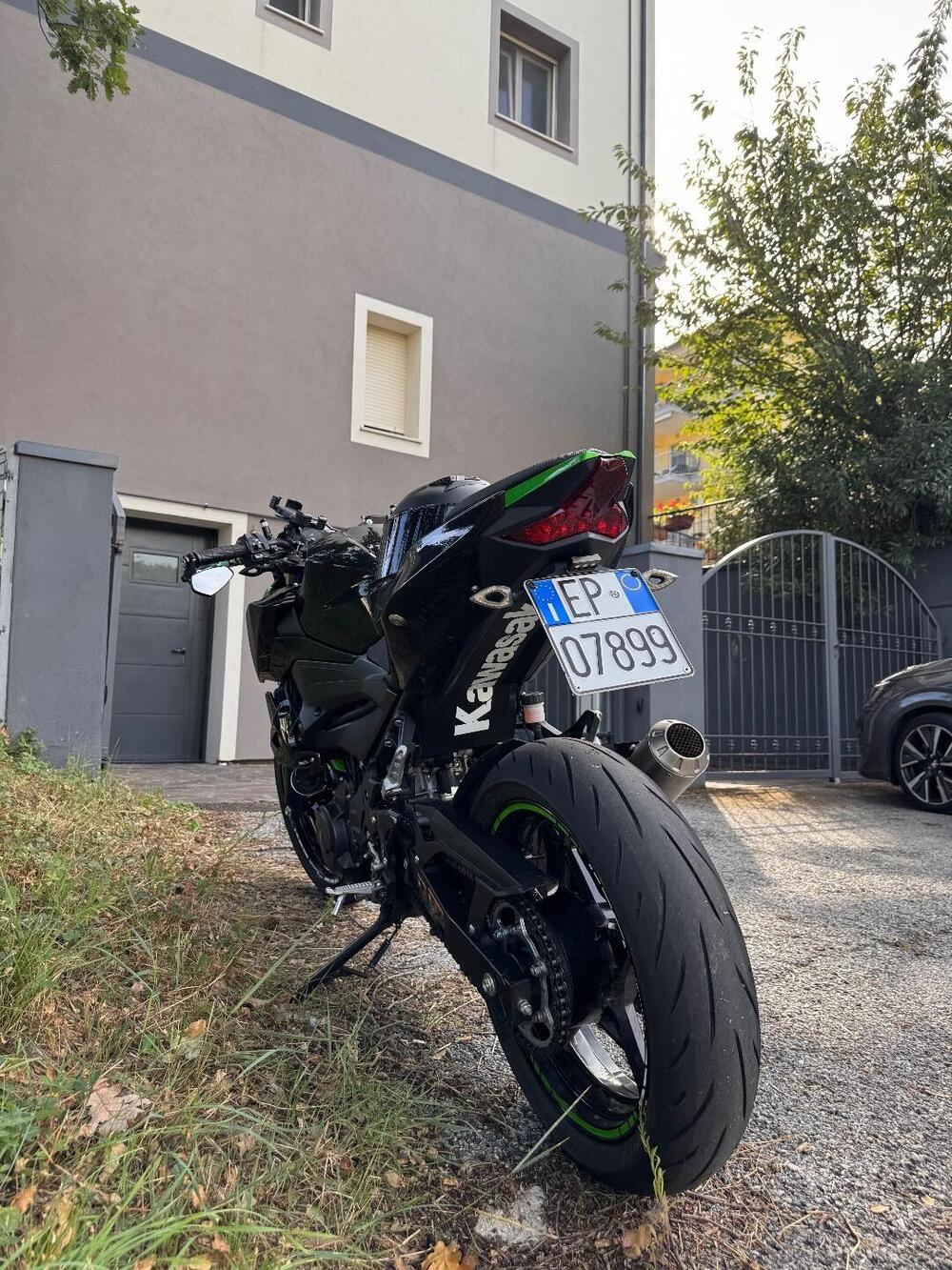 Kawasaki Z 400 (2019 - 20) (3)