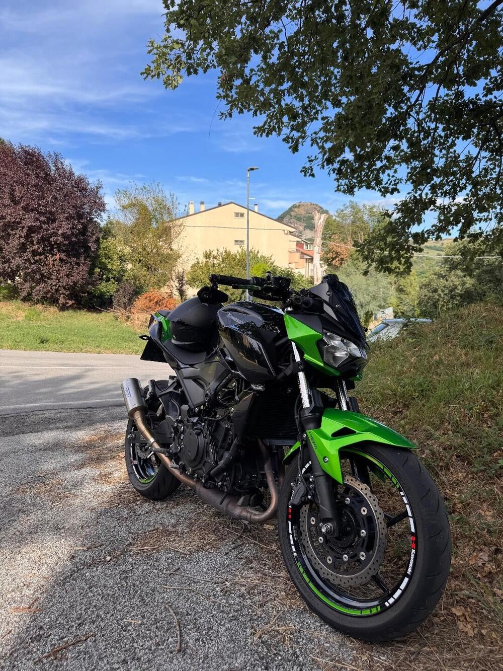 Kawasaki Z 400 (2019 - 20) (8)
