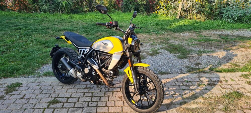 Ducati Scrambler 800 Icon (2023 - 24)