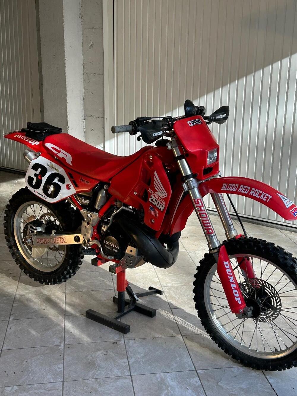 Honda CR 250 (4)