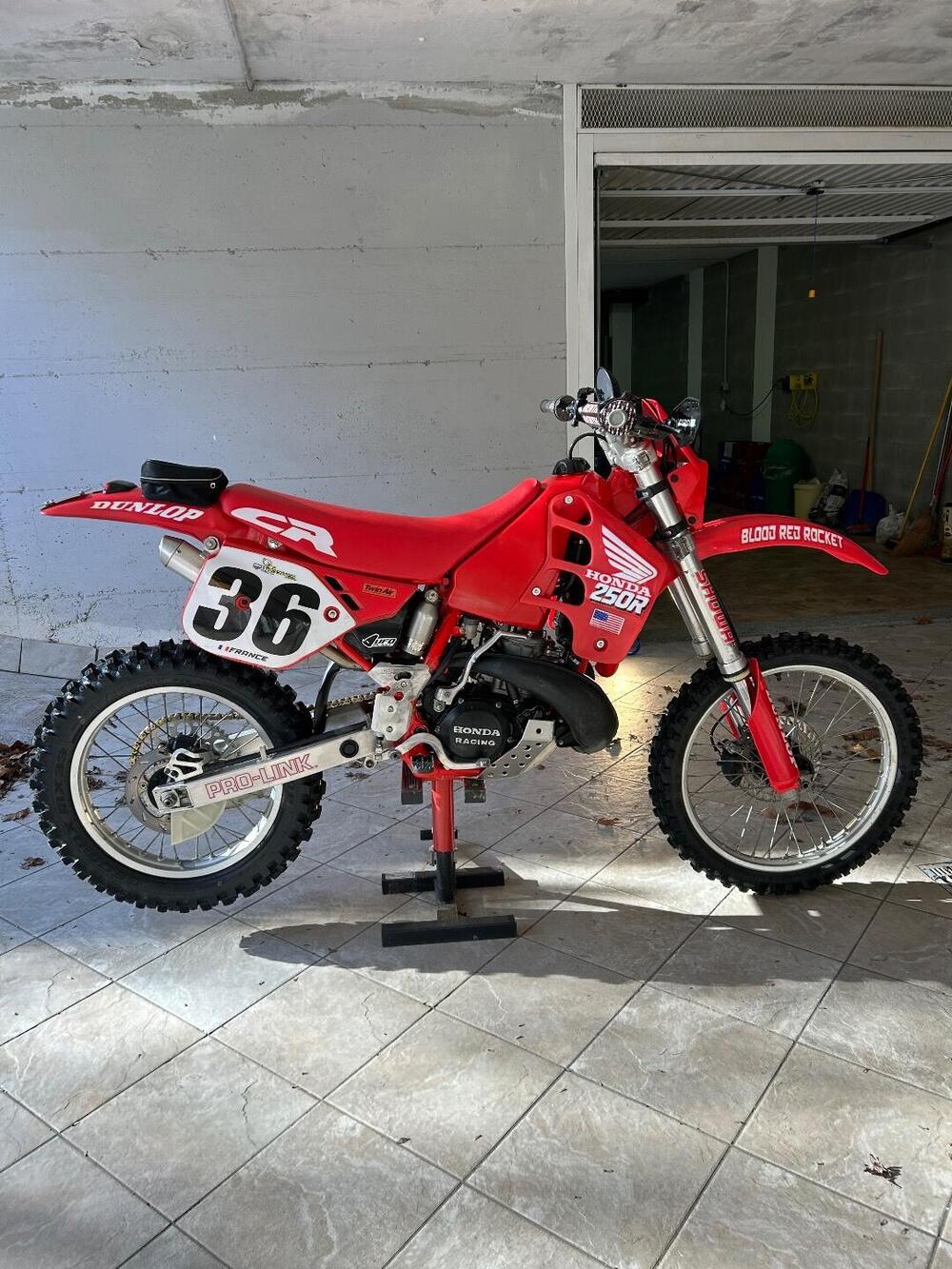Honda CR 250 (13)