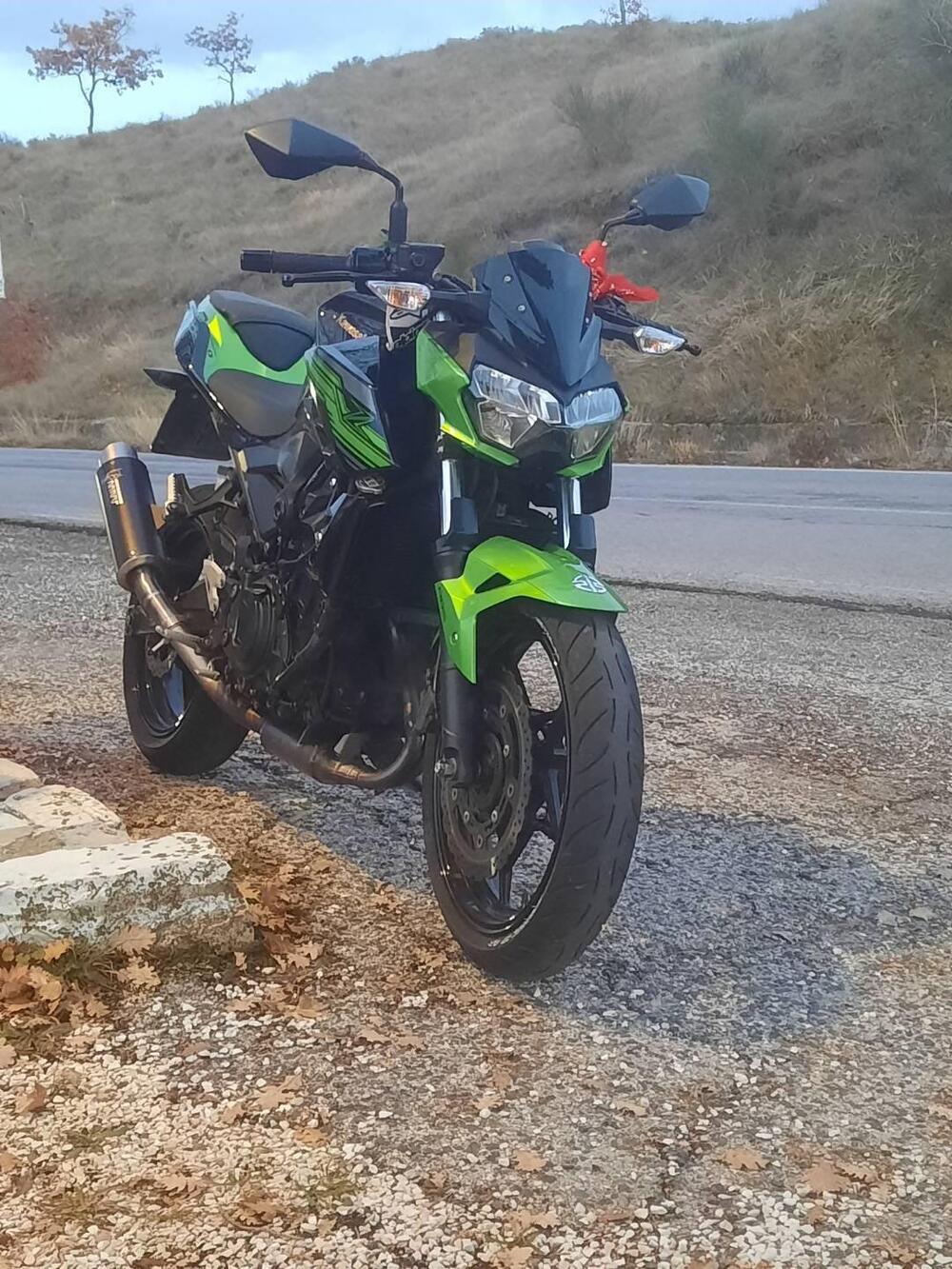 Kawasaki Z 400 (2019 - 20)