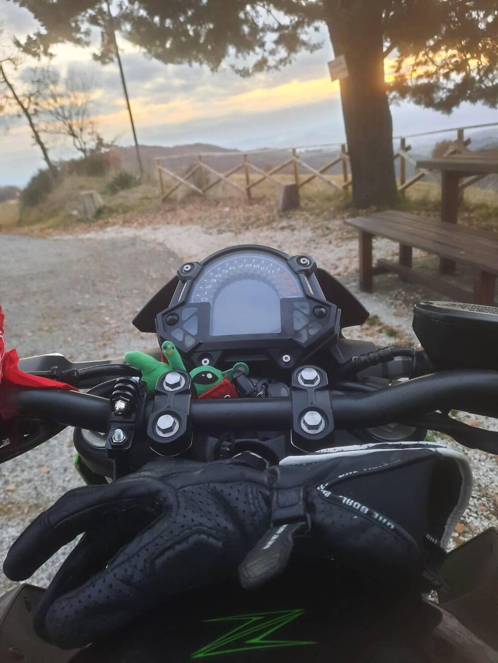 Kawasaki Z 400 (2019 - 20) (2)