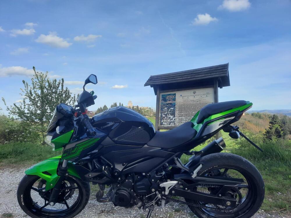 Kawasaki Z 400 (2019 - 20) (4)