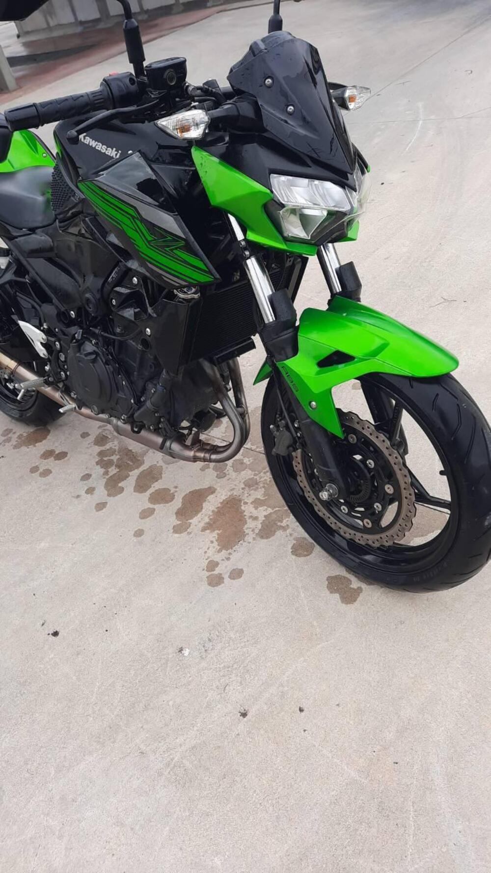 Kawasaki Z 400 (2019 - 20) (5)