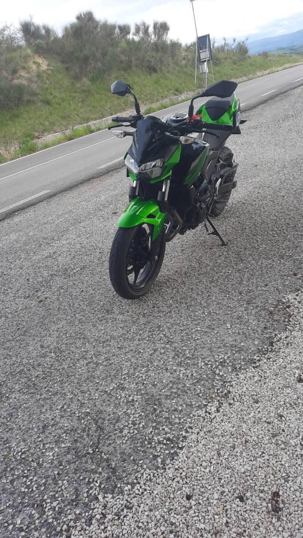 Kawasaki Z 400 (2019 - 20) (6)