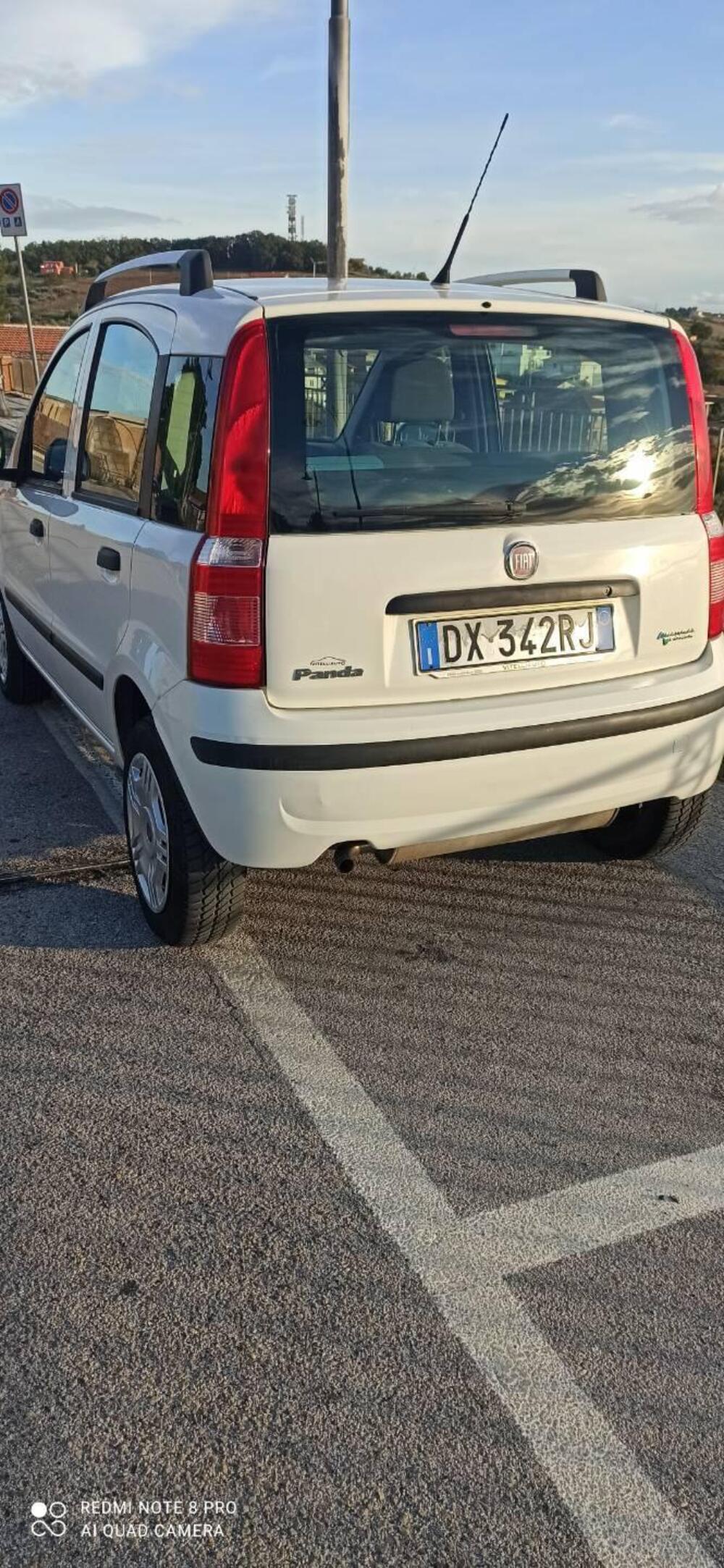 Fiat Panda usata a Chieti (7)