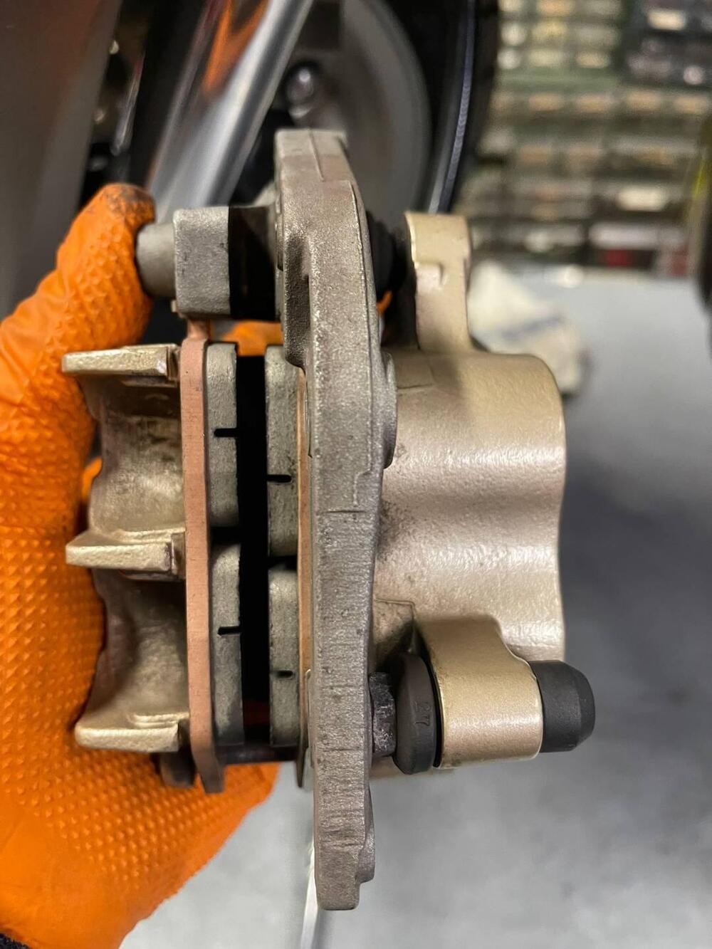 Honda Hornet 600 (2005 - 06) (14)