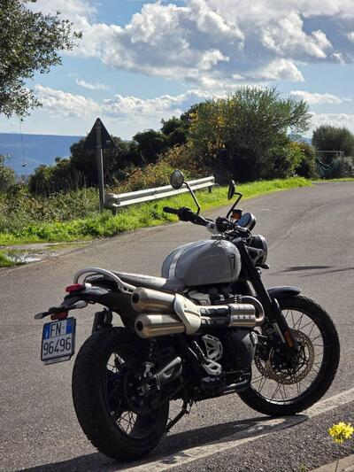 Triumph Scrambler 1200 X (2024 - 26) usata