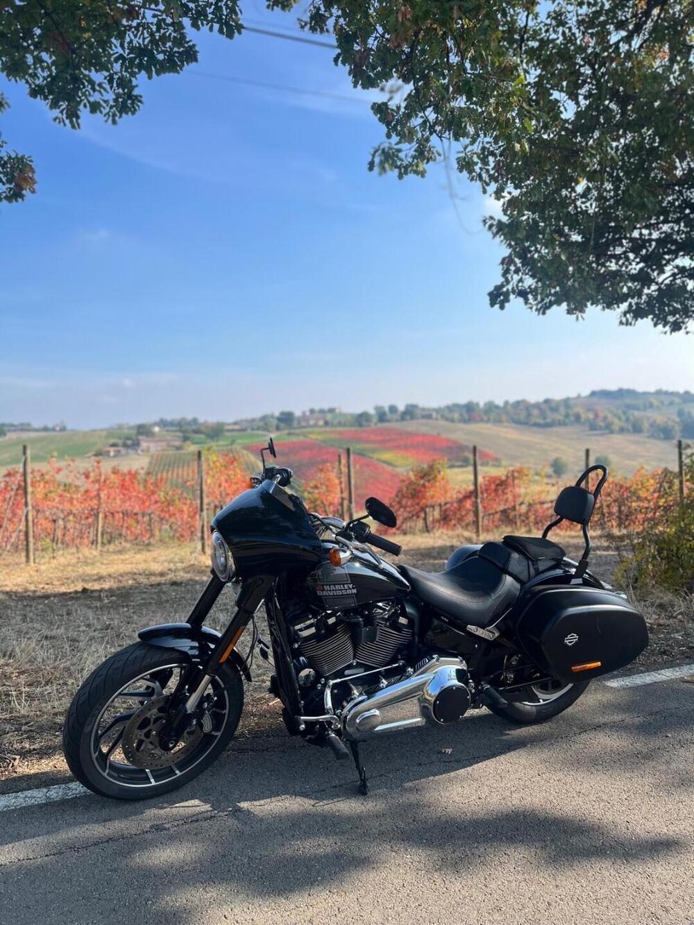 Harley-Davidson Sport Glide (2021 - 25) (6)