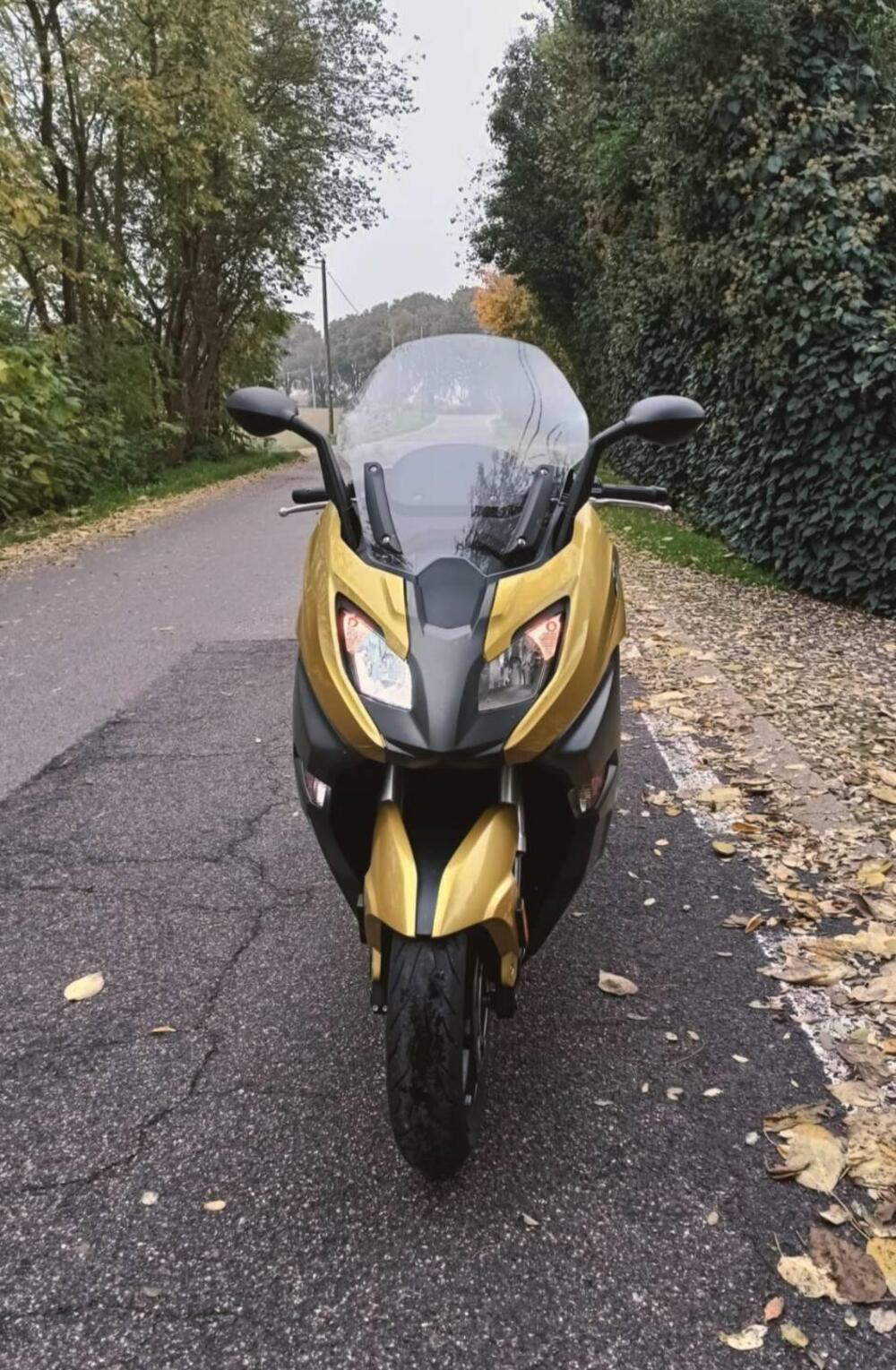 Bmw C 650 Sport (2016 - 20) (4)