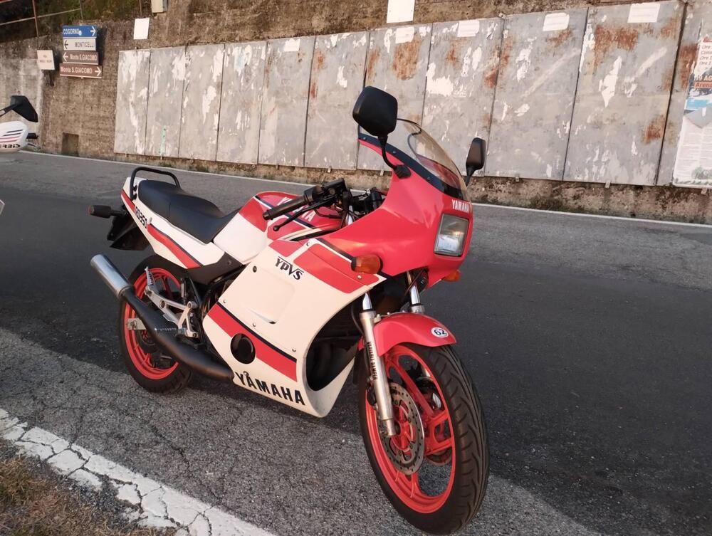 Yamaha RD 350 LCF (1988 - 93) (2)