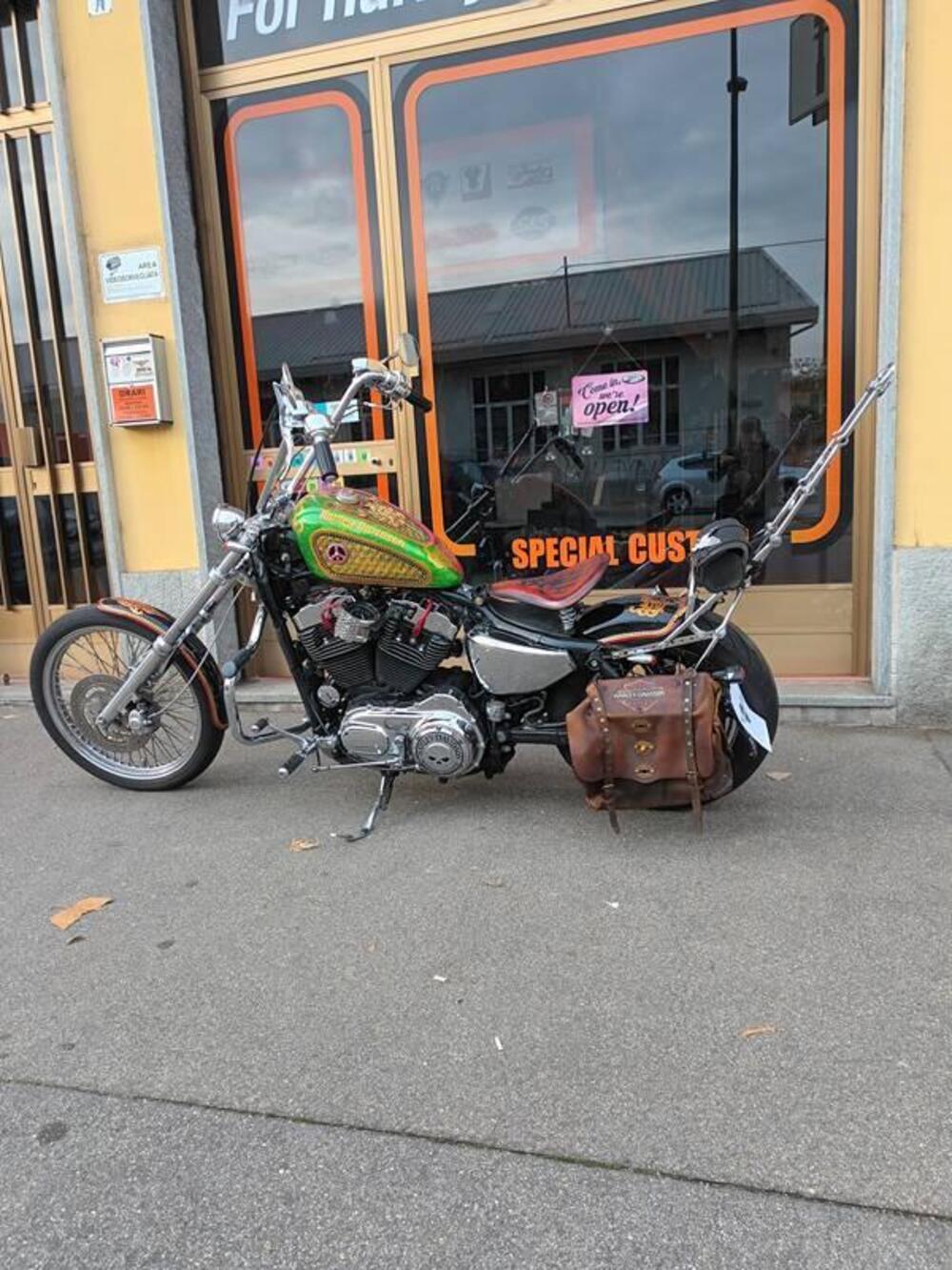 Harley-Davidson 883 Low (2005) - XL 883L