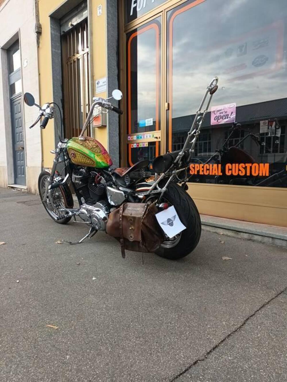 Harley-Davidson 883 Low (2005) - XL 883L (2)