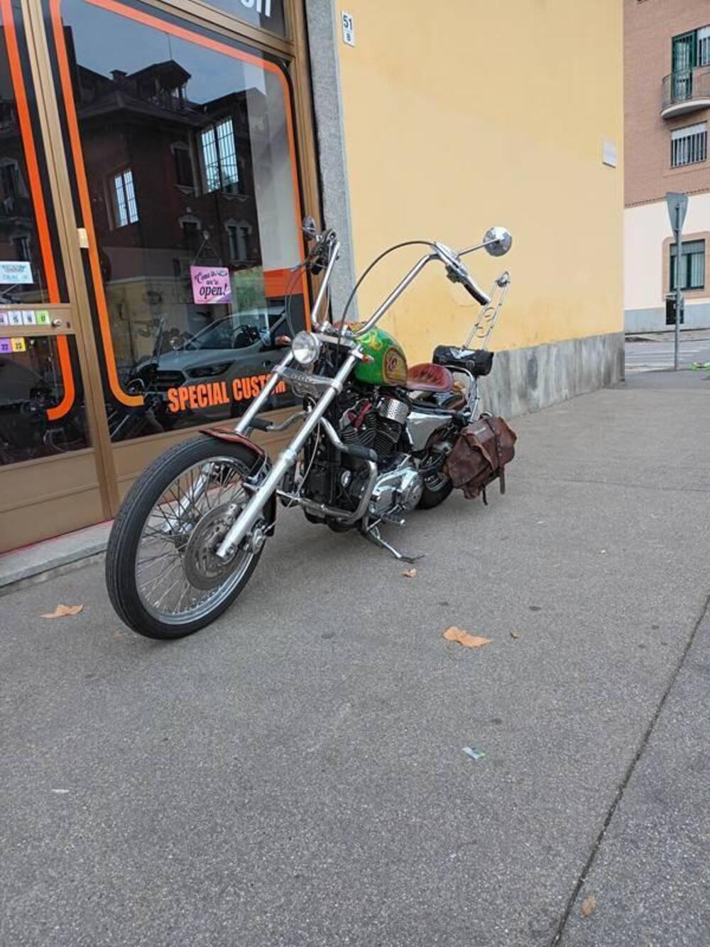 Harley-Davidson 883 Low (2005) - XL 883L (4)
