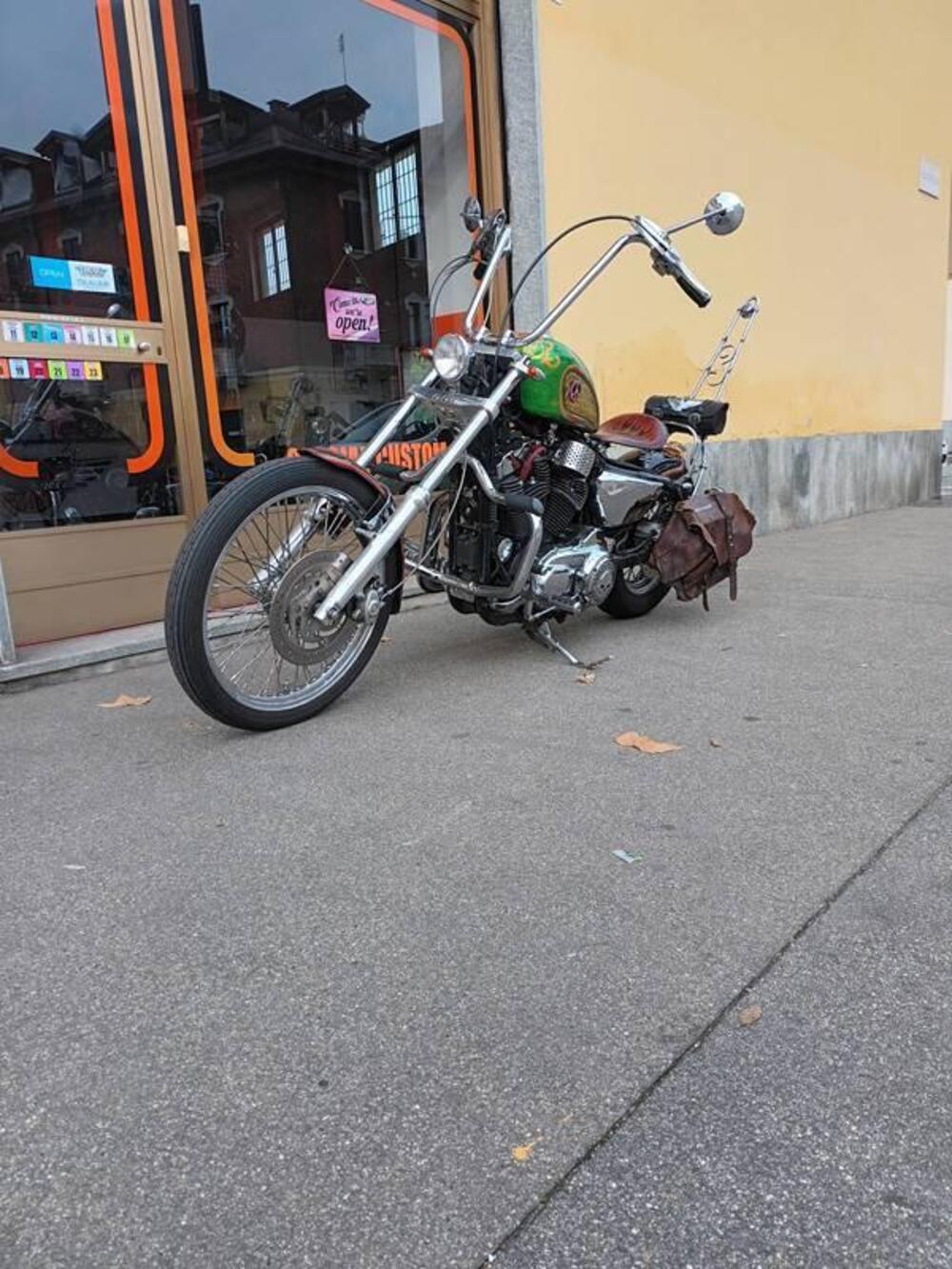 Harley-Davidson 883 Low (2005) - XL 883L (5)