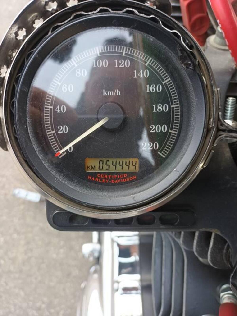 Harley-Davidson 883 Low (2005) - XL 883L (7)