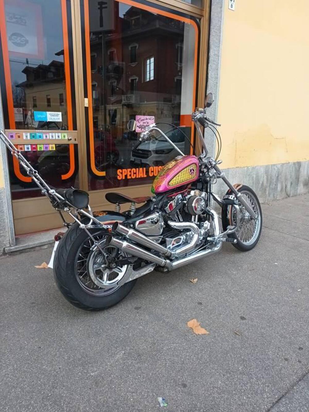 Harley-Davidson 883 Low (2005) - XL 883L (10)
