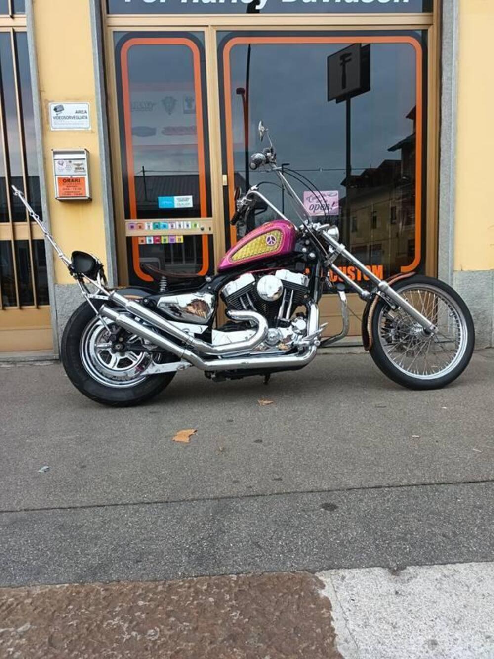 Harley-Davidson 883 Low (2005) - XL 883L (11)