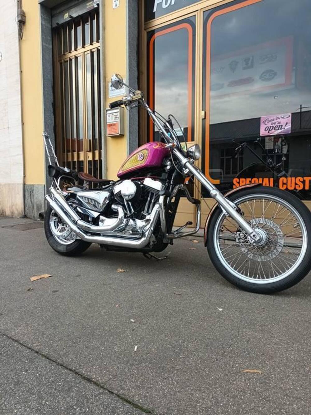 Harley-Davidson 883 Low (2005) - XL 883L (12)